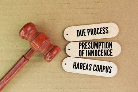 hammer the Judge with the words Due Process, Presumption of Innocence and Habeas Corpus. three legal concepts that are fundamental across many legal systemsの写真素材