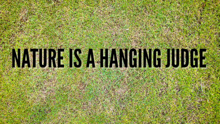 motivational concept about nature.の写真素材