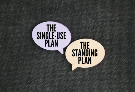 What are the two types of plan? Plans are mainly divided into two Types, which are the Single-use plan, and the Standing planの写真素材