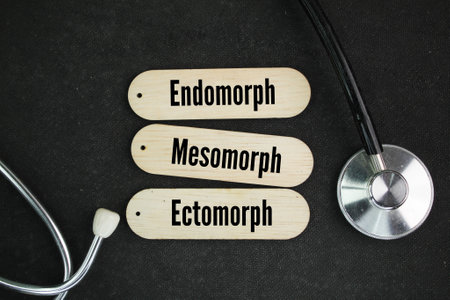 stethoscope and three sticks with the words three main body types endomorph, mesomorph, and...