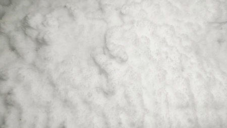ice texture background in the fridge. ice crystals on white backgroundの写真素材