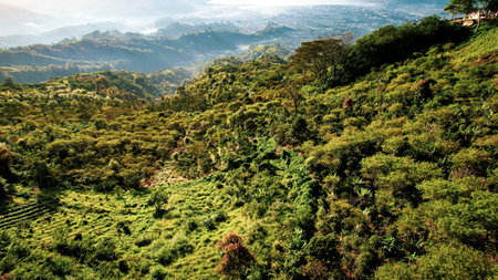 Landscape view of takengon aceh, indonesia