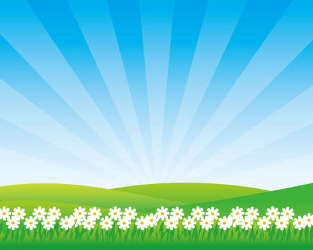 Meadow vector illustration with flower and sunny sky suitable for children theme backgroundのイラスト素材