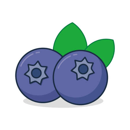 Blueberry vector illustration isolated on white background. Blueberry clip art.のイラスト素材