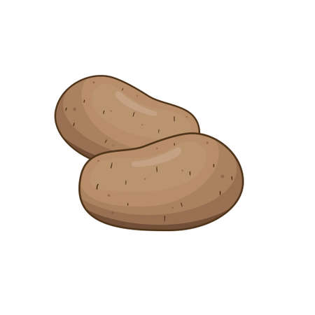 Potato vector illustration isolated on white backgroundのイラスト素材