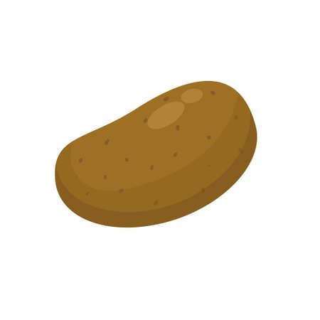 Single raw potato vector illustration isolated on white backgroundのイラスト素材
