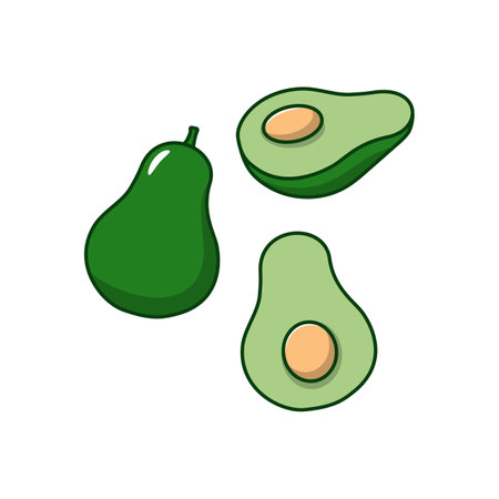 Avocado vector illustration with a simple cartoon style isolated on white backgroundのイラスト素材