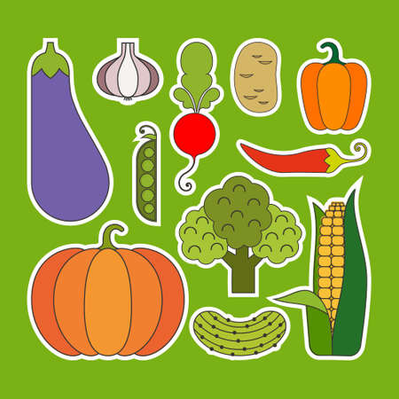 Collection of vector vegetable stickers - great to use for learning food names with kids or as an element in healthy lifestyle design.のイラスト素材