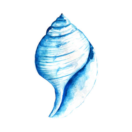 Seashell watercolor illustration. Hand drawn underwater element design. Artistic vector marine design element. Illustration for greeting cards, printing and other design projects.のイラスト素材