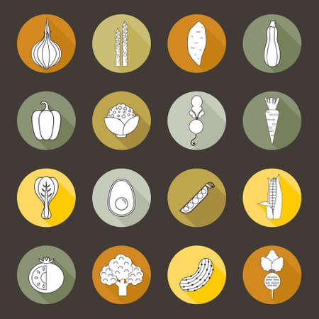 Modern flat icons with different vegetables. Green organic veggies symbols for web pages, menu and ither healthy lifestyle designs.のイラスト素材