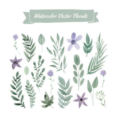 Set of handpainted watercolor vector flowers and leaves. Design element for summer wedding, spring congratulation card. Perfect floral elements for save the date card. Unique artwork for your design.のイラスト素材