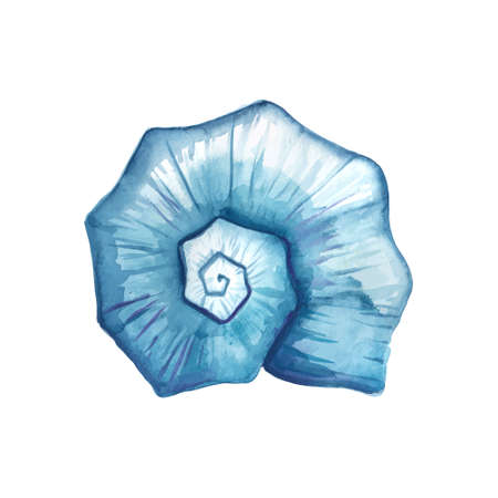 Seashell watercolor illustration. Hand drawn underwater element design. Artistic vector marine design element. Illustration for greeting cards, printing and other design projects.のイラスト素材