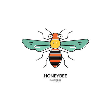 Colorful honeybee logo. Perfect label for honey related business or other natural product industry.のイラスト素材