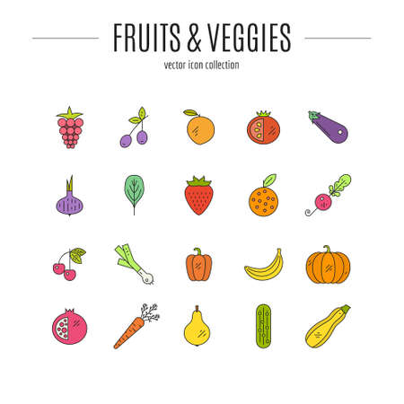 Vector line style icons of different fruits and vegetables. Summer harvest graphic elements. Modern simple illustration of healthy and colorful food.のイラスト素材