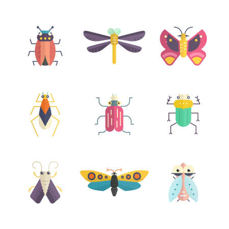 Vector collection of insects made in modern flat style. Colorful bugs for your design. Nature elements made in vector.のイラスト素材