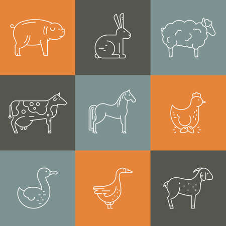 Collection of farm animals including goat, goose, chicken, cow. Farming icons. Livestock symbols.のイラスト素材