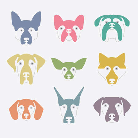Creative portrait collection of different dog breeds, including german sheepherd, labrador, doberman, husky. Dog faces. Modern illustration of veterinarian clinic, dog breeder logo.のイラスト素材