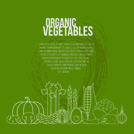 Fresh vegetables vector concept. Healthy diet flat style illustration. Isolated green food, can be used in restaurant menu, cooking books and organic farm labels.のイラスト素材