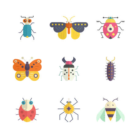 Vector collection of insects made in modern flat style. Colorful bugs for your design. Nature elements made in vector.のイラスト素材