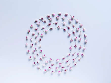 Frame made of leaves and flowers on background. Top view floral composition. Flat lay arrangement.の写真素材