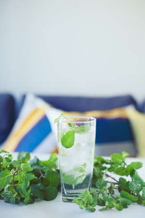 Closeup of glass with lemonade and mint leaves around. Refreshment in summer day.の写真素材