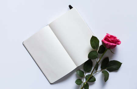 Pink rose on a white table with an open empry notebook - mockup for your artworkの写真素材