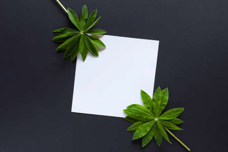 Artistic mockup for your artwork with beautiful leaves and empty card shot from the top. Flat lay minimalistic composition.の写真素材