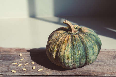 Raw pumpkin on wooden background. Healthy vegeterian cuisine ingredient closeup. の写真素材