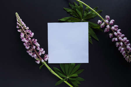 Artistic mockup for your artwork with pink lupine flowers and empty card shot from the top. Flat lay minimalistic composition.の写真素材