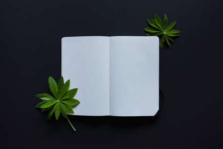 Artistic mockup for your artwork with beautiful flowers and leaves and empty card shot from the top. Flat lay minimalistic composition.の写真素材