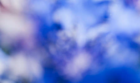 Flower macro shot, abstract photo of a Centaurea cyanus or Cornflower. Beautiful natural background.の写真素材