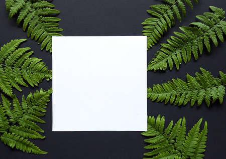 Artistic mockup for your artwork with fern around it. Flat lay minimalistic composition.