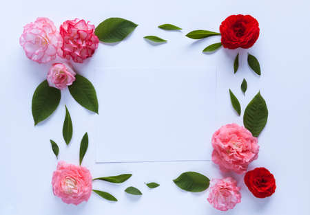 Square composition with empty card and flowers and leaves arranged in a form of frame.の写真素材