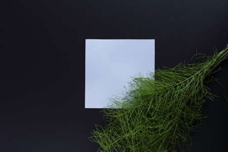 Artistic mockup for your artwork with beautiful flowers and leaves and empty card shot from the top....