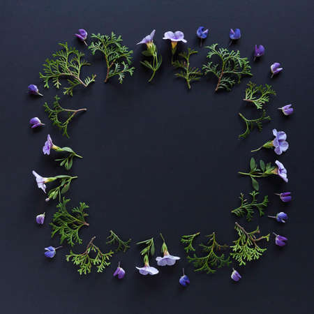 Frame made of leaves and flowers on blackbackground. Top view floral composition. Flat lay arrangement.の写真素材