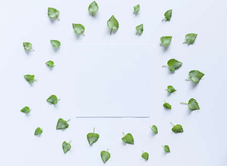 Artistic mockup for your artwork with beautiful flowers and leaves and empty card shot from the top....