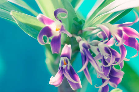 Artistic flower photo with shallow depth of field.
