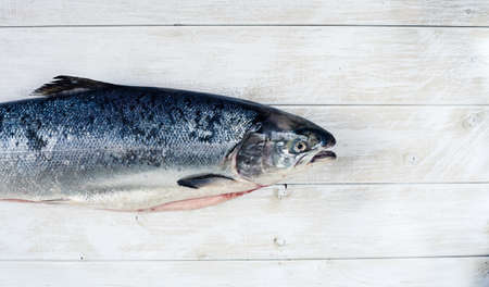 Overview view of salmon fillet on white wooden table. Vegetarian or paleo food concept.の写真素材