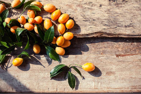 Small apricots on wooden background - summer photography background.