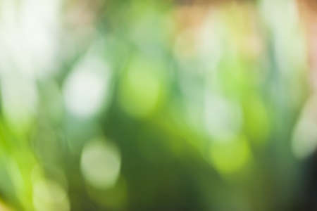 Blurred Background of autumn natureの写真素材
