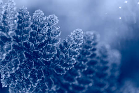 Macro shot with shallow depthの写真素材