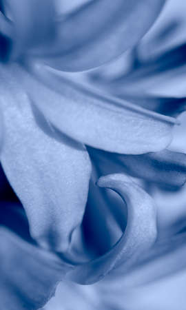 Beautiful macro shot of flowersの写真素材