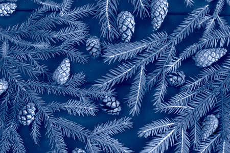 Macro shot of pine tree