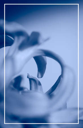 Beautiful macro shot of flowersの写真素材