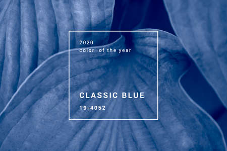 Beautiful macro shot of tropicalの写真素材