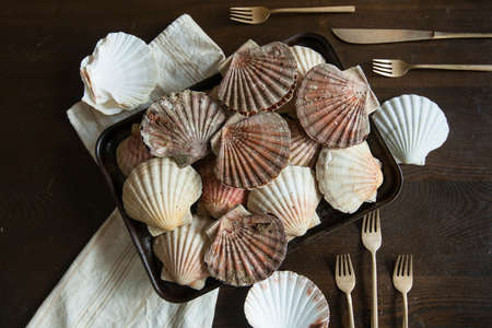 Franch Scallops Macroの写真素材