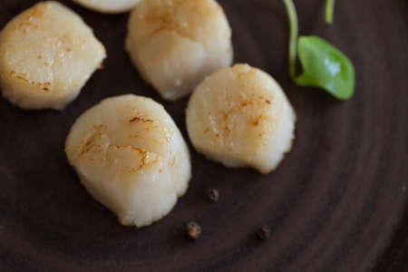 Franch Scallops Macroの写真素材