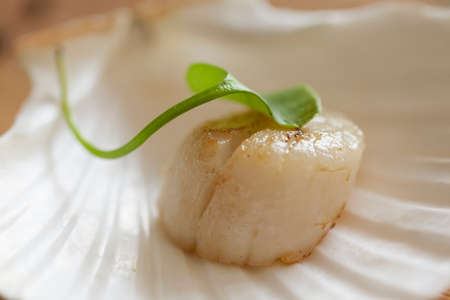 Franch Scallops Macroの写真素材