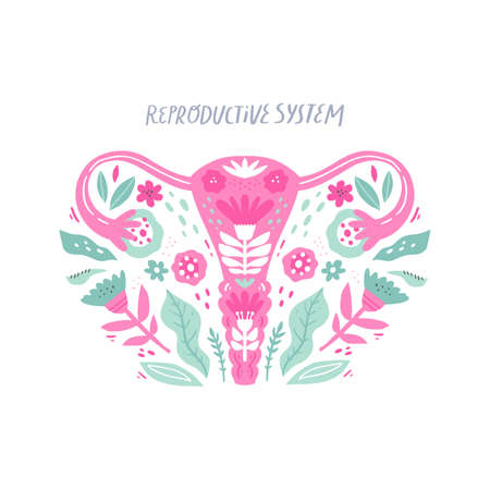 Woman reproductive system flat vectorのイラスト素材