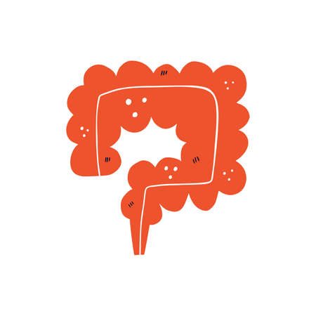 Cartoon illustration of human intestineのイラスト素材